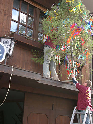 25Kirb2005.jpg