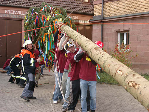 34Kirb2005.jpg