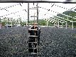 007pfingstsamstag2010.JPG